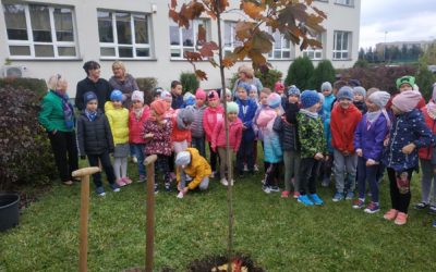 Pasowanie uczniów klas I na członków Szkolnego Koła LOP