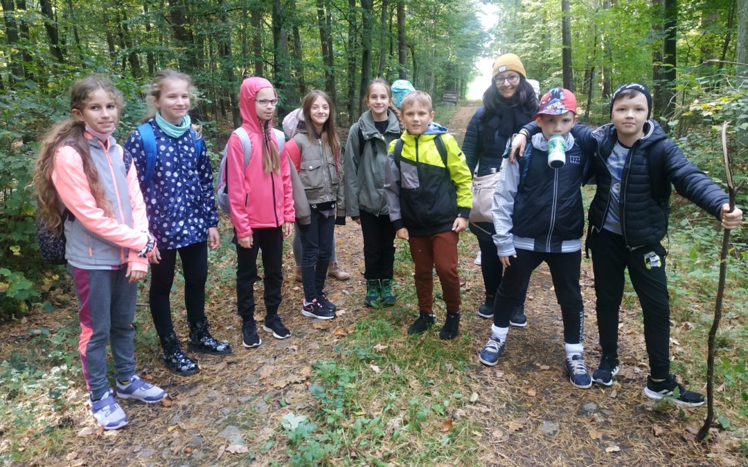 Zajęcia terenowe 4e w Nadleśnictwie Skierniewice