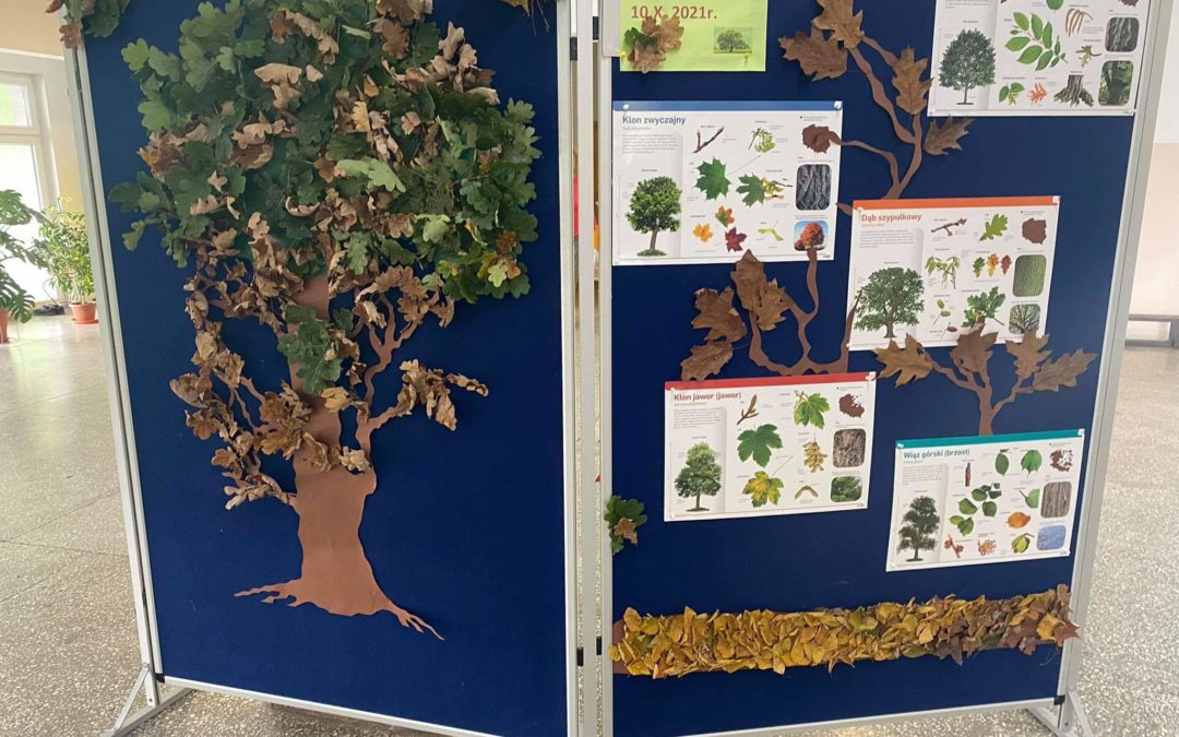 10 października – obchody Dnia Drzewa