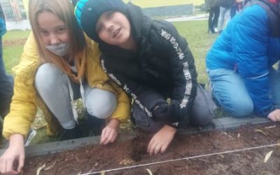 Projekt „Krokus”