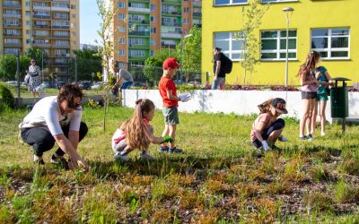 „Zielona Czwórka- 2022”