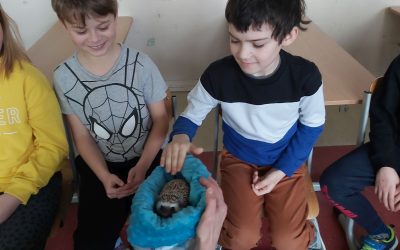Wizyta Pastuszkowego Rancza, w roli głównej „JEŻ”
