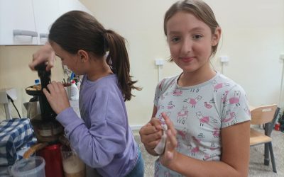 Uczniowie klas V i VI podczas zajęć koła ekologicznego